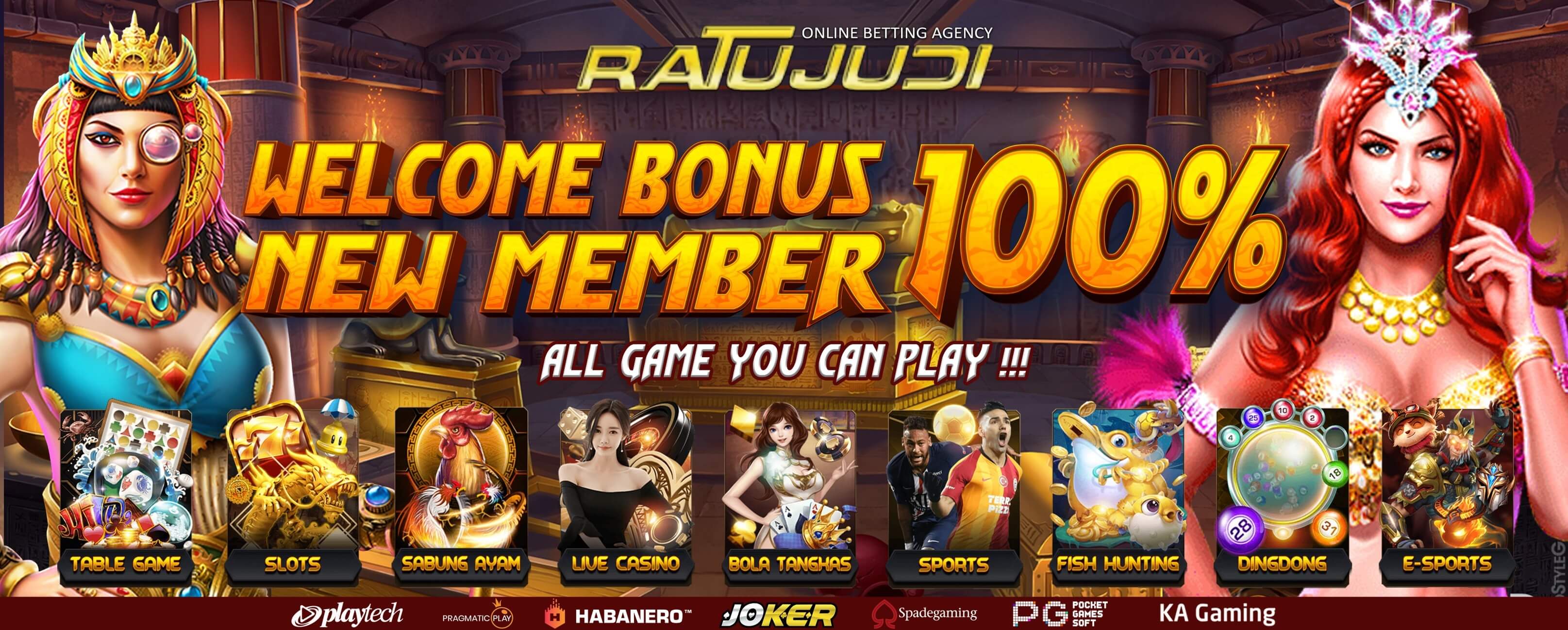 promo ratu311 new member